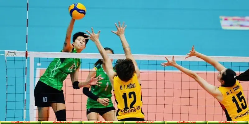 Cá cược bóng chuyền cực hấp dẫn tại nhà cái XIBET