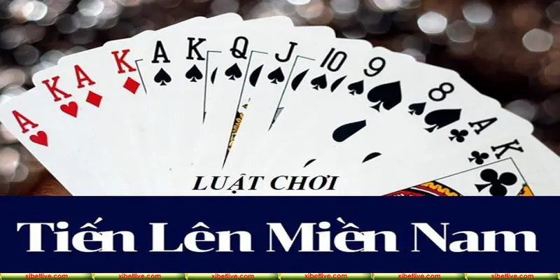 Cách chơi vô cùng đơn giản cho người mới tham gia