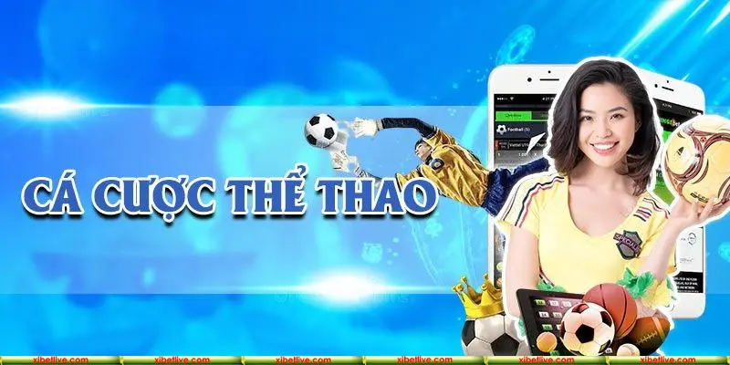 Đưa ra lựa chọn hoàn hảo để thắng lớn