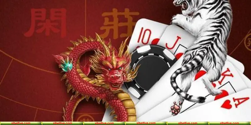 Khái niệm rồng hổ là gì và nguồn gốc của tựa game từ đâu
