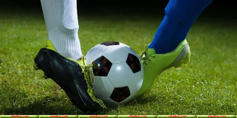 Mẹo dành cho người mới tại nhà cái XIBET