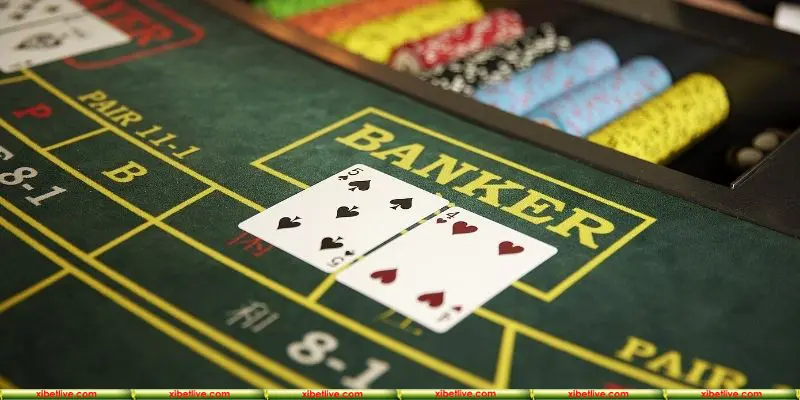 Nắm bắt tất tần tật dữ liệu hấp dẫn về công cụ hack Baccarat