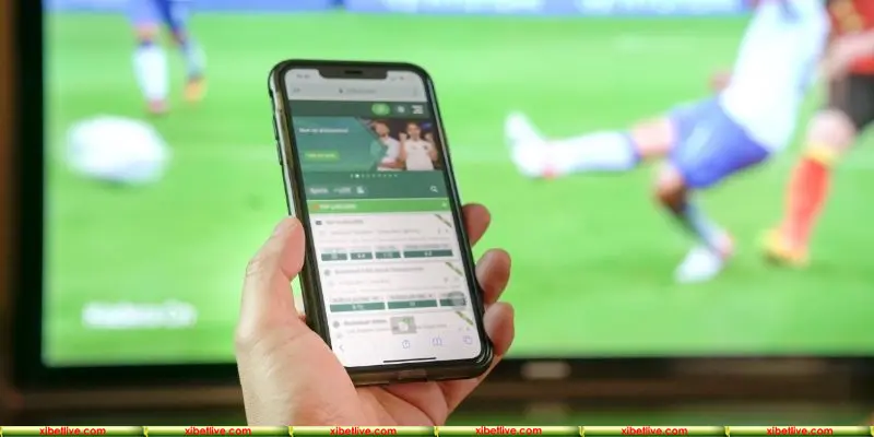 Người chơi phải có chiến lược khi chơi cá cược