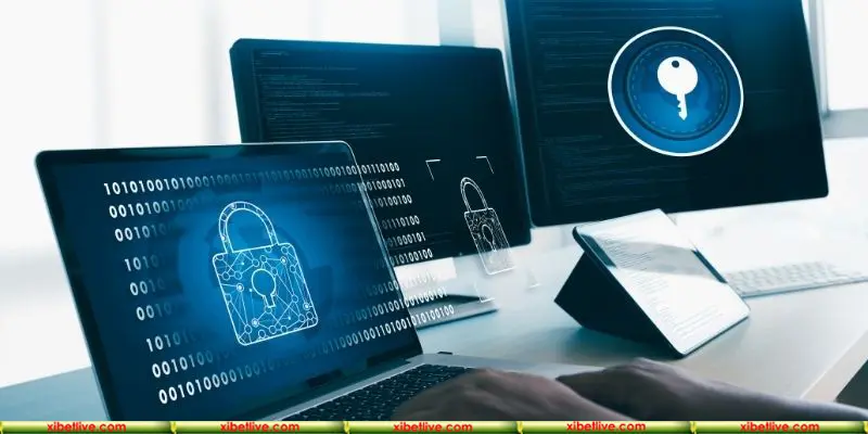 Quyền riêng tư cá nhân trong điều khoản của nhà cái