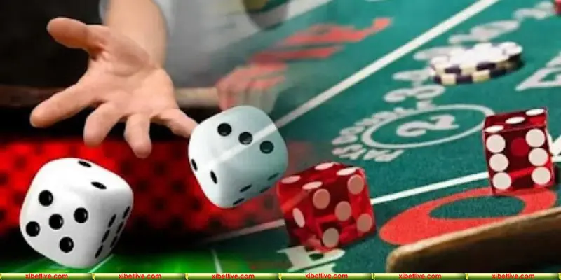 Thử sức với sân chơi Sicbo hấp dẫn mới mẻ tại nhà cái XIBET
