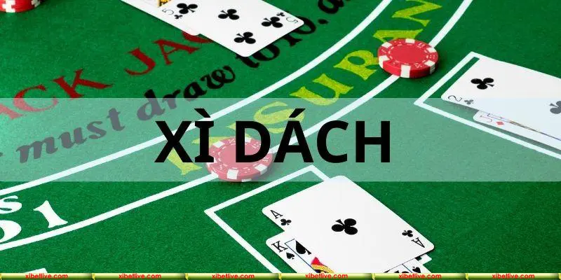 Xì Dách không chỉ là một trò chơi bài thông thường