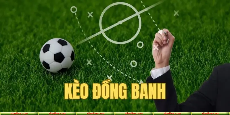 XIBET giới thiệu kèo đồng banh siêu hấp dẫn và dễ thắng